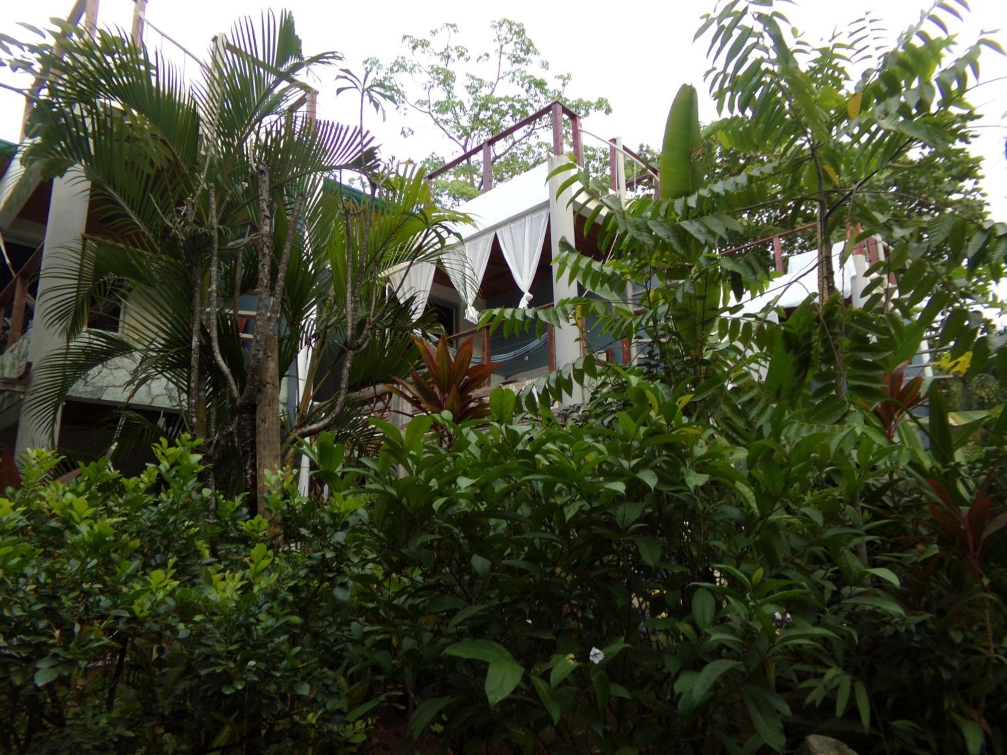 Iluminar Beachfront Suites Nosara Exteriör bild